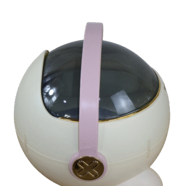 Bacenilla astronauta