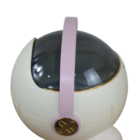 Bacenilla astronauta